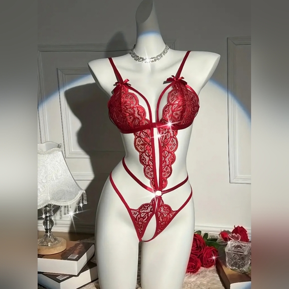 Split Lace Teddy Bodysuit NIP - Picture 1 of 4